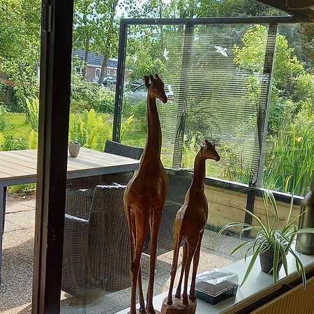 Natuurhuisje Eartswoud 알츠와우드 외부 사진