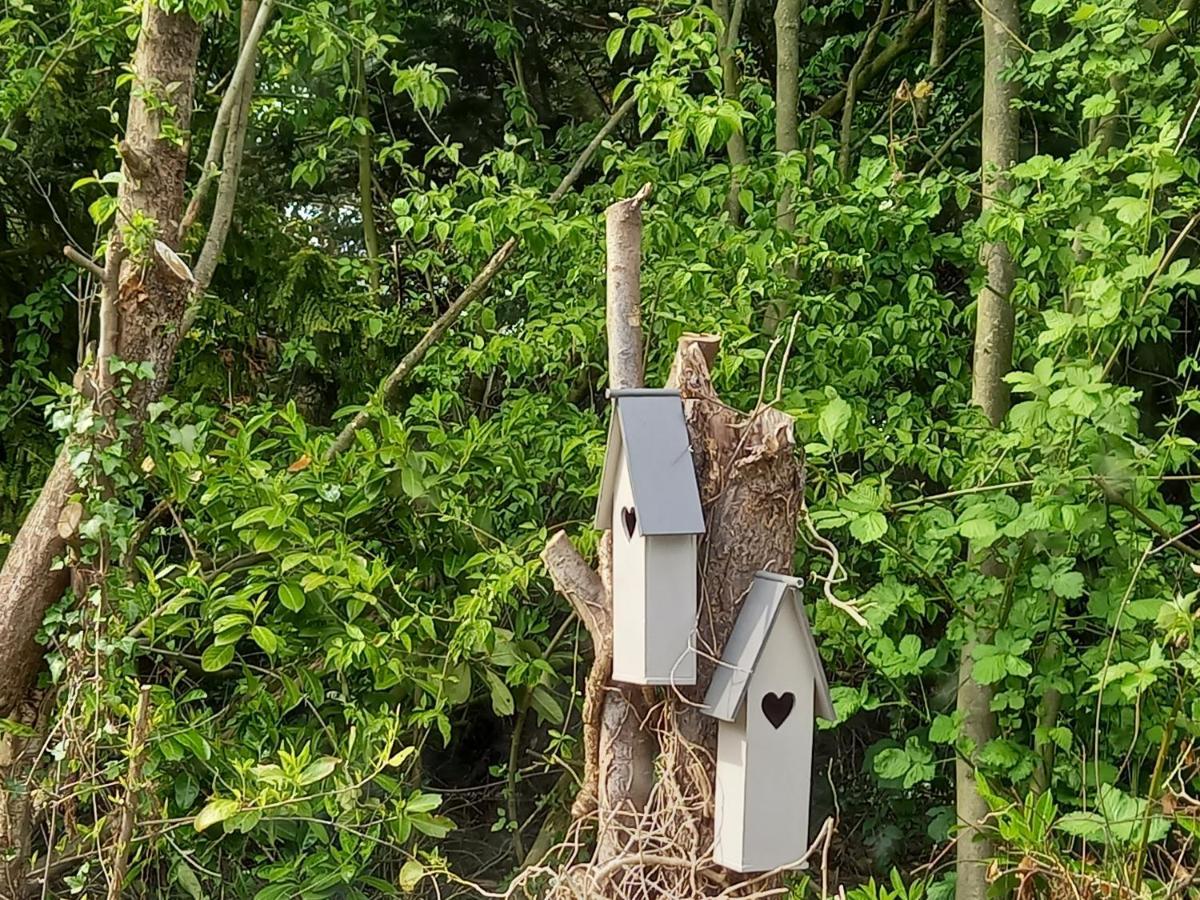 Natuurhuisje Eartswoud 알츠와우드 외부 사진